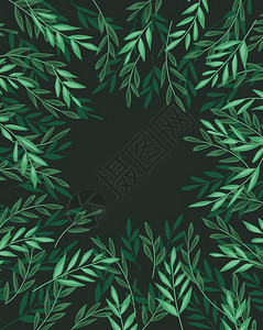 树叶和草自然背景森林观树叶的装饰枝矢量说明图片