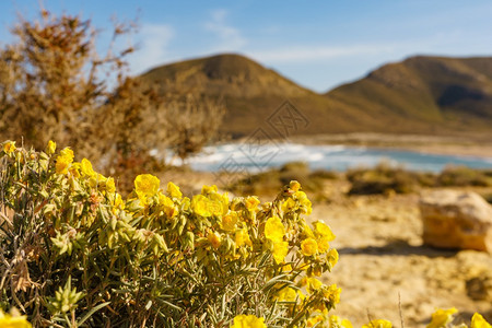 西班牙安达卢亚省阿尔梅里CabodeGataNijar自然公园ElPlayazo海滩Andalusia省AbelPlayazo自图片