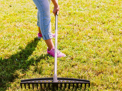 种植园成年女在后院用雷克工具放牧绿草妇女利用雷克清理花园草坪图片