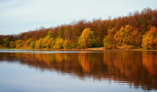 秋天雨风景全森林湖图片