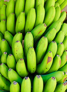 一群绿色香蕉近距离接图片