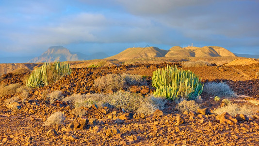 西班牙加那利州特奈里费岛日落时沙漠和山丘的全景观图片