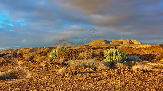 日落的沙漠和山丘在特奈里夫岛卡纳山脉全景观图片