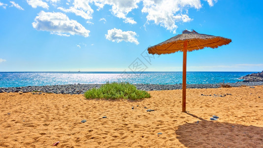 阳光明媚的夏日热带海滩草寄生虫在海边的热带沙滩图片
