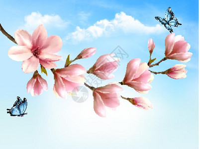 粉红色花和蝴蝶的矢量背景图片