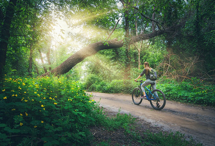 日出日落时背包的女子在森林里骑山地车图片