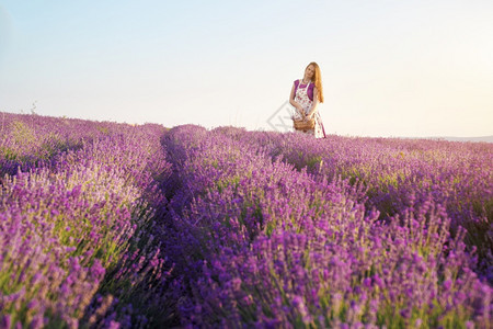 可爱的女孩在日落时草地上收集白粉自然和植物场景图片