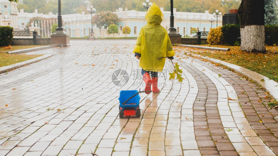在公园的雨天小男孩带着玩具垃圾车在公园行走图片