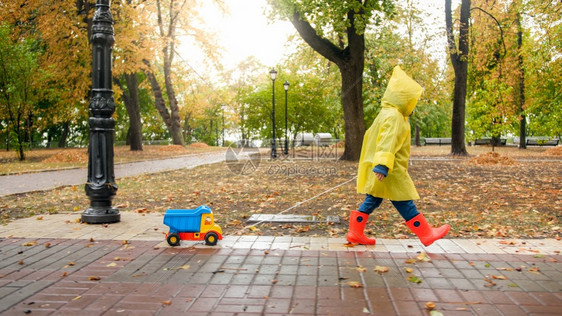 穿着红色橡皮靴和黄雨衣的小男孩在秋季公园与玩具卡车一起行走图片