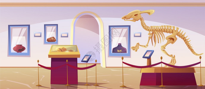 具有恐龙骨架和考古展览的历史博物馆内部古生学和考史前动物和代文展览的矢量漫画插图带有恐龙骨架的历史博物馆内部图片