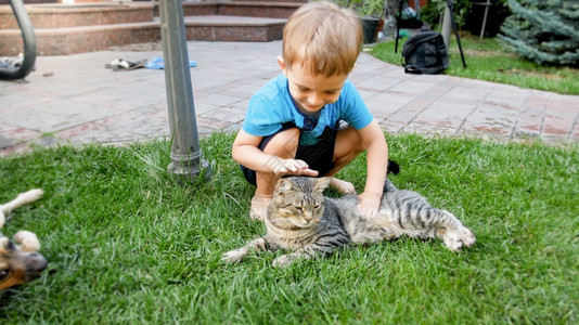 坐在草地上抚摸灰猫的小孩图片