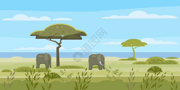 非洲地貌热带草原野生大象矢量插画插画