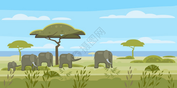 非洲地貌热带草原野生大象矢量插画图片