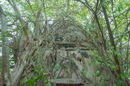 泰国SamutSongkhram区WatBangKung的旧砖墙和树根窗户图片