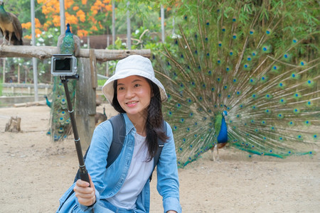 快乐的亚裔女一位旅游者行和拍照片或自用移动智能手机在Peacock鸟的社交媒体上张贴在动物园公里有羽毛野兽在大自然中人们在旅行图片