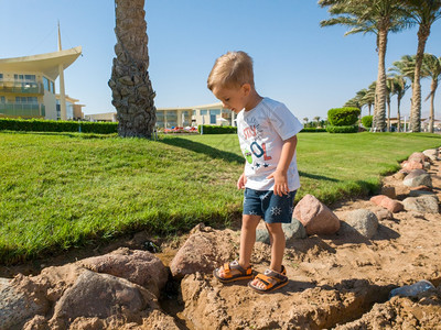 可爱的幼儿男孩在海中行走棕榈树下种植在旅馆度假胜地绿草坪下种植可爱的幼儿男孩在海中行走旅馆度假胜地绿草坪下种植图片