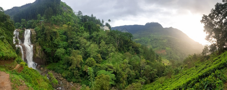 山顶上美丽的水壁和茶种植园的全景象图片