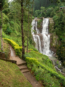 斯里兰卡山区雨林中水壁级联附近的高地茶叶种植场景观斯里兰卡山区雨林中高地茶叶种植场景观图片