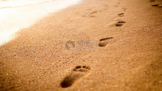 日落时海滨金色湿沙滩上的人类足迹直线的近视图像图片