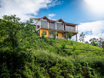 在茶叶种植园的山顶站立上房子或旅馆的景色令人惊叹在茶叶种植园的山顶站立房屋或旅馆景色令人惊叹图片