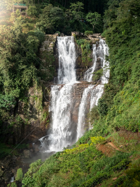 热带雨林和山中大瀑布的美景图片