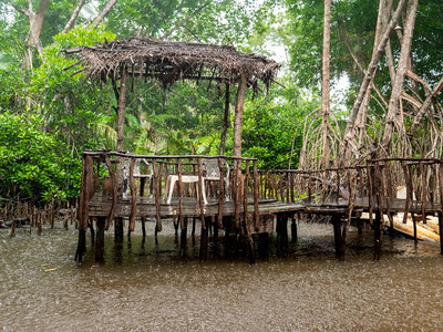 暴雨时河上热带林的Wooden码头暴雨时河上热带林的旧木头码暴雨时热带林的旧木头码图片