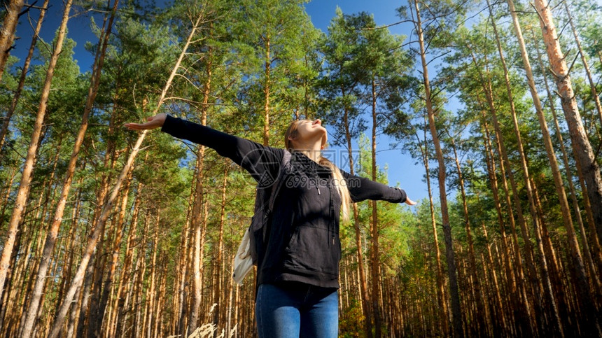 在松树林中享受清晨在松树林中笑的女游客举起手来在松树林中享受清晨图片