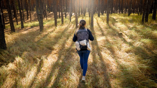 青年女游客在松树林干草上行走的画面图片