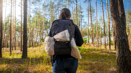 女游客在森林中行走时背着重包的图像图片