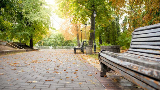 美丽的秋季公园景观雨后有旧的木板凳美丽的秋季公园景观雨后有旧的木板凳图片