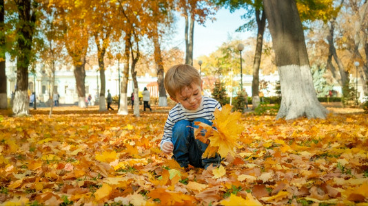 小孩男坐在公园采摘落下的树叶图片