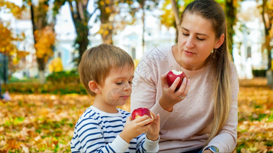 小男孩和母亲在公园里吃苹果图片