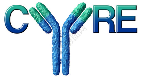 抗体治疗符号被隔离在白色背景和含硫化物联结的免疫球蛋白作为Y形免疫系统的一部分以三维形态对抗疾病图片