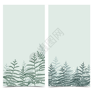 自然背景带树枝的邀请卡模板叶装饰条纹带的自然背景图片