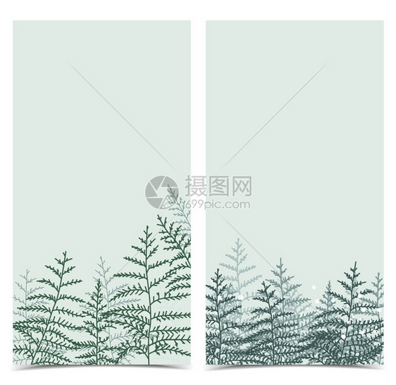 自然背景带树枝的邀请卡模板叶装饰条纹带的自然背景图片