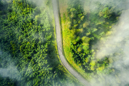 夏季绿林道路空中观察图片