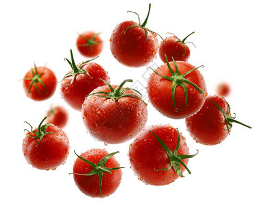 红西番茄在白背景上浮图片
