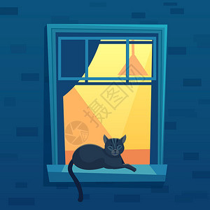 黑色小猫在窗帘上休息图片