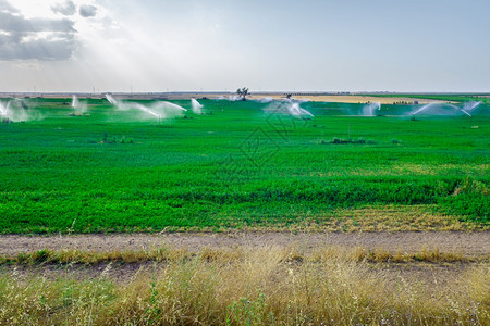 在雨水浇灌地区喷洒灭火器浇灌的谷物田图片