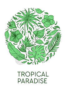 热带棕榈叶和花海报图片