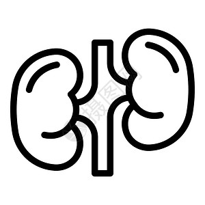 图标在白色背景上孤立的网络设计中大纲的肾矢量图标大纲样式插画