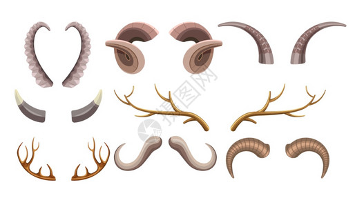 各种动物头上的角图片素材