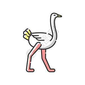 长的腿食人鱼有尖嘴矢量彩色图画或插插画  |卡通鸟类动物装饰纸