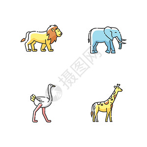 非洲野生物RGB颜色图标集外来动物热带捕食和草狮子大象长颈鹿和食生动物孤立的病媒图解图片