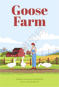 Goose农场海报模板家禽的当地牧场生产半平板插图的商业传单设计矢量漫画宣传卡农村业广告邀请鹅农场海报模板图片