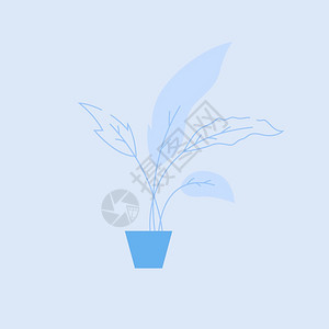 蓝锅半平面RGB彩色矢量插图小型装饰家庭工厂有大叶子天然家庭种植菜花在蓝色背景上的孤立漫画对象图片