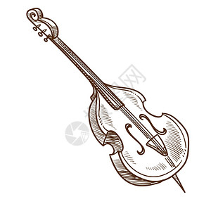 锦瑟弦violoncello音乐器经典表演器经典音表演矢量孤立的素描大提琴