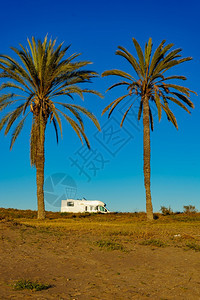 露营者在地中海岸的游车在西班牙有棕榈树在佩切尔斯海滩有露营假日和旅行大篷车在海滩有露营者在海岸有露营者图片