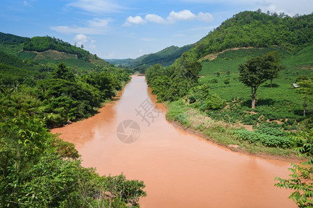 山河水景林雨季东南亚热带后自然河流景象图片