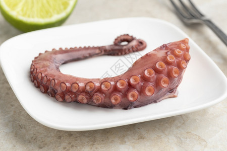 新鲜熟的章鱼触角紧贴在盘子上背景图片